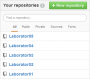 colocvii:colocviu01:github_new_repository.png